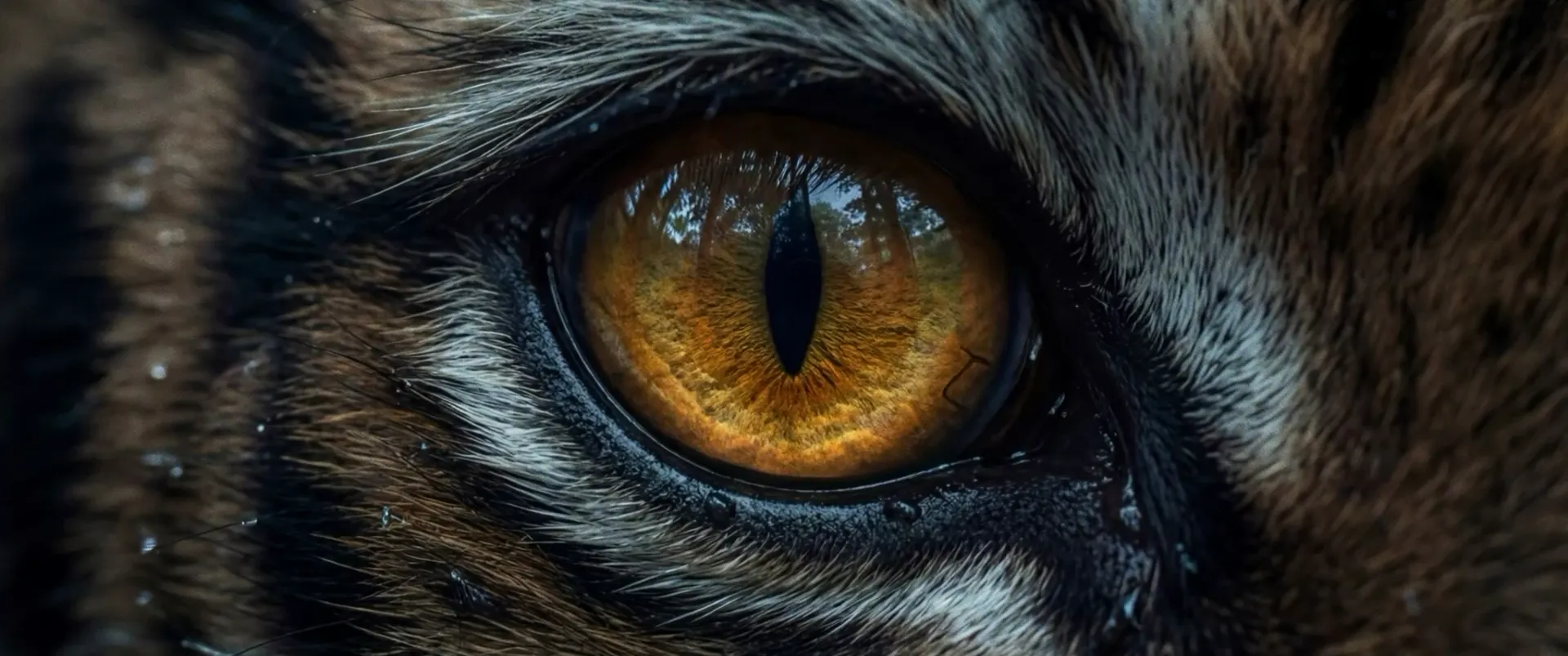Still from the Roar concept trailer